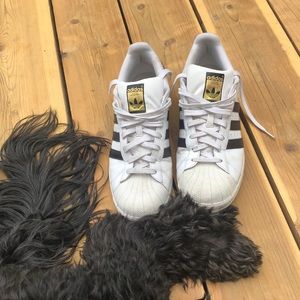 Adidas superstar